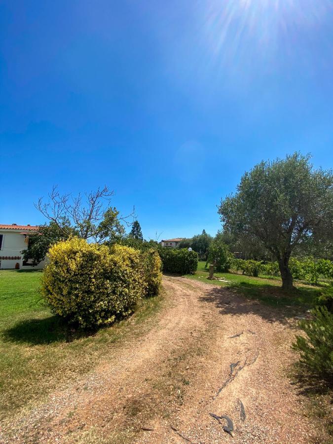 Villa Gladyr Lotzorai Dış mekan fotoğraf
