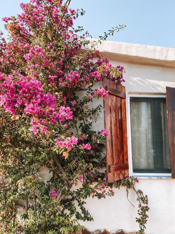 Villa Gladyr Lotzorai Dış mekan fotoğraf